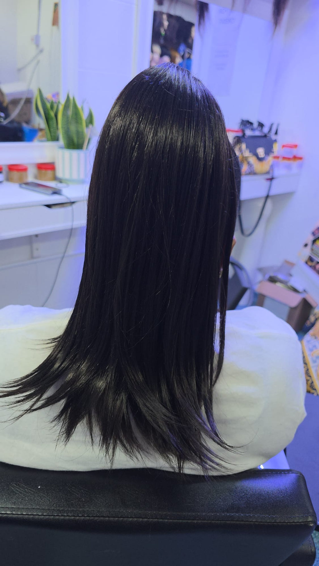 Ponytail Hairstyle
