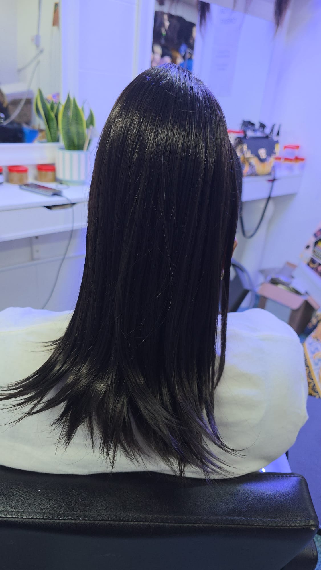 Ponytail Hairstyle