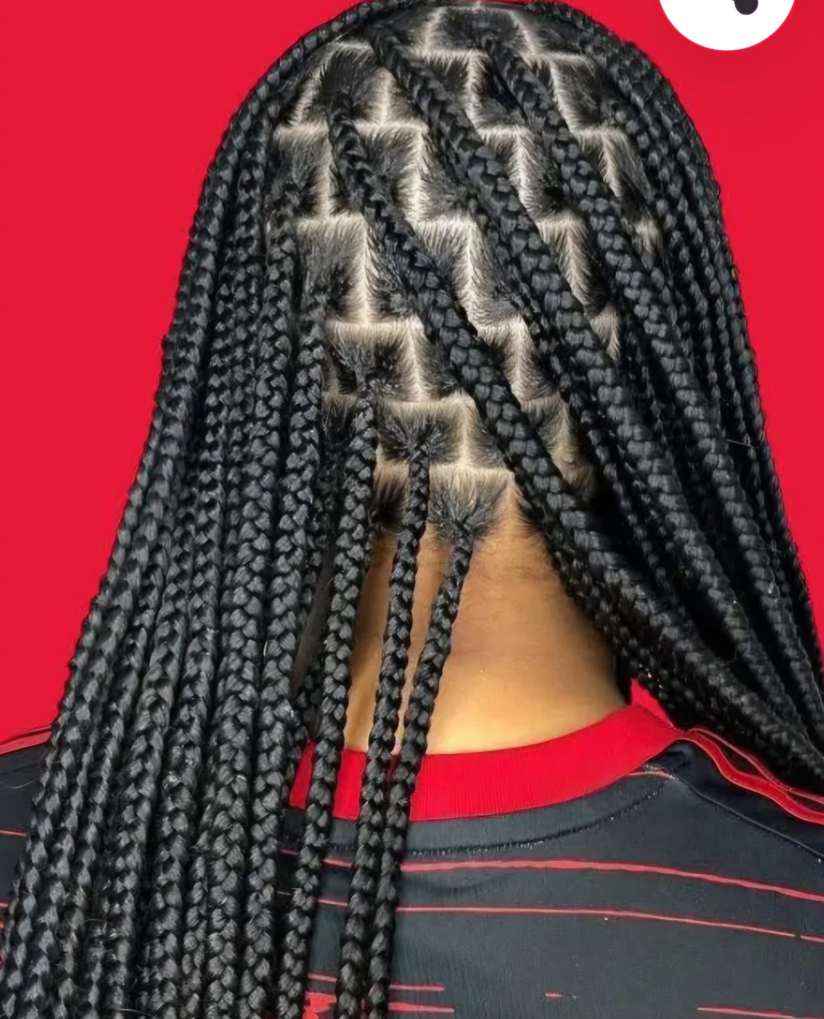 Medium Box Braids