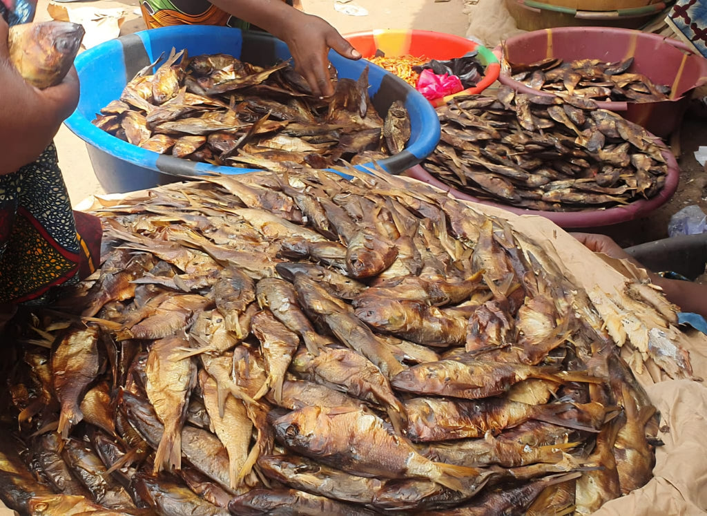 Smoked Bonga Fish