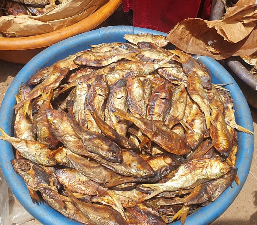 Smoked Bonga Fish