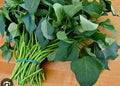Fresh Sweet Potato Leaf